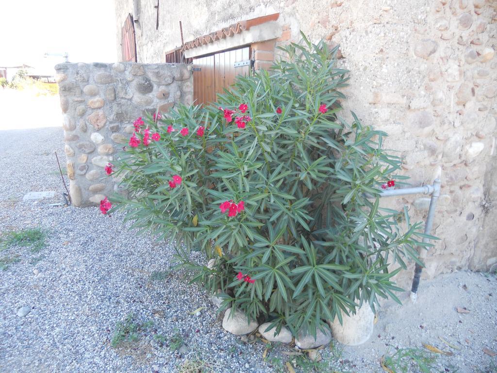 Agriturismo Le Mura Del Gherlo Villa Valeggio sul Mincio Exteriör bild